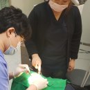 하늘수치과의원 이미지