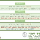 엑슬루 동물병원 이미지
