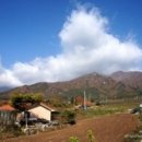 윈도우즈D 이미지