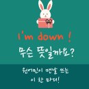 원어민이 맨날 쓰는 영어회화표현 i&#39;m down 영어회화스터디모임 외국인실전연습