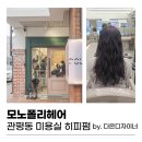 810 | 대전 관평동 미용실 모노폴리헤어 다은디자이너 히피펌 후기