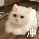 사재공원 화장실 | 히또상; 히진 또 상하이 다녀옴(1박2일같은 2박3일) 1일차