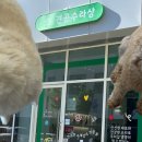 견공수라상 네이버블로그