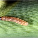 산 아래 이미지