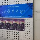 추냔이네 이미지