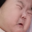 유나에듀