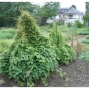 펄스트마켓 이미지