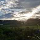 호암농장 이미지