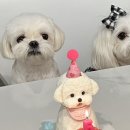 구떼포유 - 연제구 연수로 125 | 구떼포유