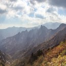 최고산면옥 이미지