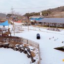 솔푸른향기애견 이미지