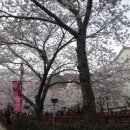 여좌천로 이미지