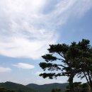 내일2리 이미지