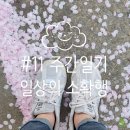 피자스쿨(안성공도점) | 일기 - 근속10주년 비결, 헬린이 식단 관리, 여수언니 초코초꾸떡, 공도 야시장, 첫 퍼스널 컬러 진단)
