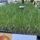 전북종묘농약사 이미지