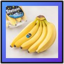 고산지 | 3천원대 꿀맛? 스텔라나 고산지 바나나 솔직후기