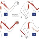 안산감동한의원 이미지