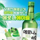 이루다 솔루션 이미지