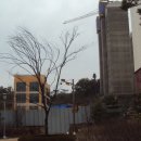 부영5차 이미지