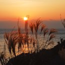 동백섬의 일출 이미지