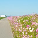 오산10리 이미지