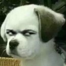 양남병설유치원 이미지