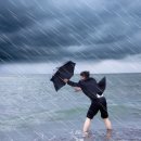 한솥도시락 신월성점 이미지