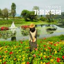 선망목장 | 가평 자라섬 꽃페스타 남도꽃정원 가을 축제