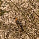 월성 스테이 이미지