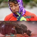 배로샌드 이미지