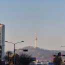 원시운동장 | K직장인의 26년 3월 일상 모음집 Part.2