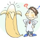 고래잡는날
