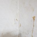 시흥대로38길 이미지