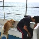 분당삼성내과의원 이미지