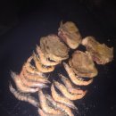 펜션숲속의궁전1 이미지