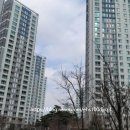 서초힐스아파트 앞 이미지