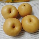 천안농원