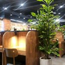 은행사거리 이미지