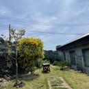 스테이뵤뵤 이미지