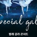 스페셜 갈라 발레콘서트 이미지