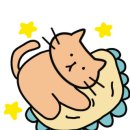 도토미