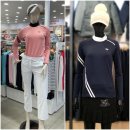 팜스프링스 이미지