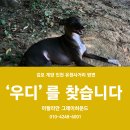 유현동물병원 이미지