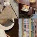 살구공방 이미지