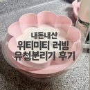 냥이네그릭요거트 | 위티미티 러빙 유청분리기 | 그릭요거트 메이커 내돈내산 후기(+요거트, 그래놀라 추천)