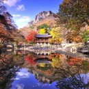 순창 강천산 강천사 가을 단풍 이미지