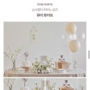 하루애담