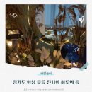 시청로R 이미지