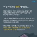 우리동네닭강정 - 23481 | 우리동네닭강정
