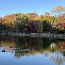 당지농장 이미지